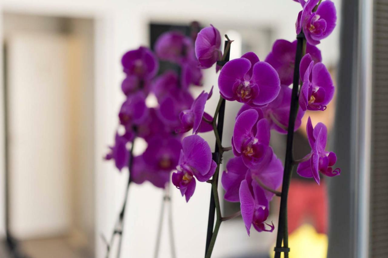 Studio Orchidea Хелзинки Екстериор снимка